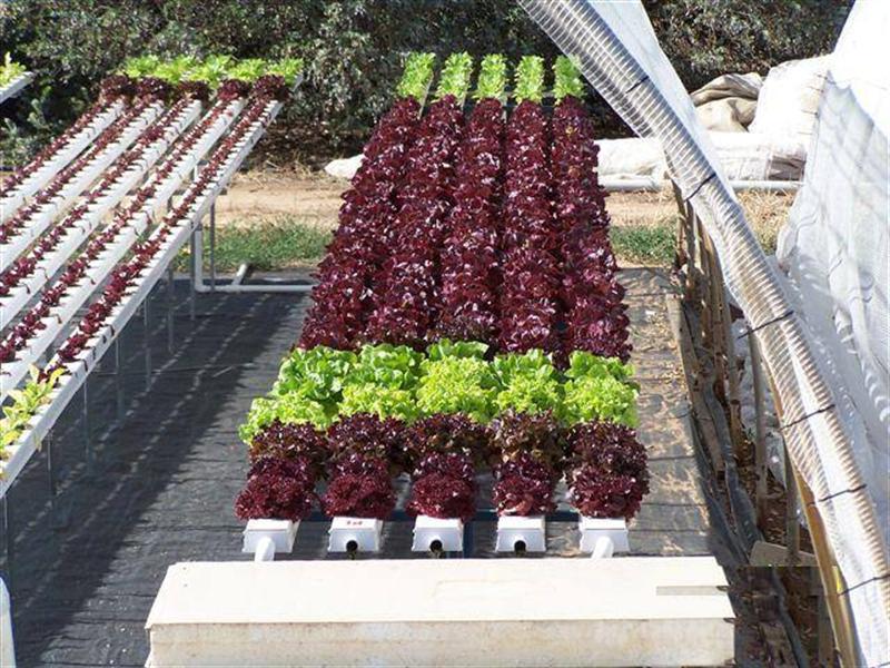 img20703474e442c5b87c (Medium).jpg