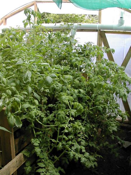 DSCN2234_1 (Medium).JPG