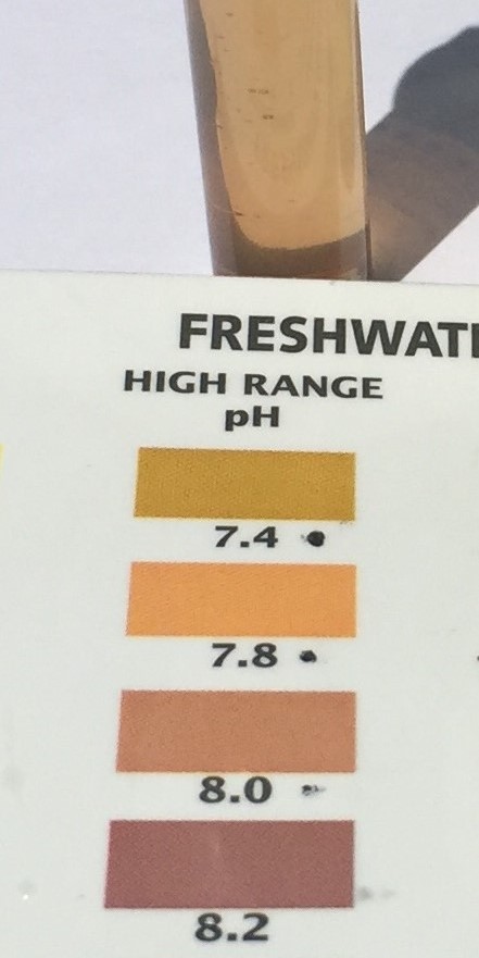 High_pH2.jpg