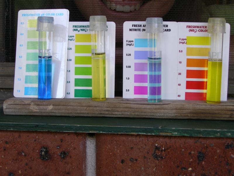 Jan15 08 (Medium).jpg