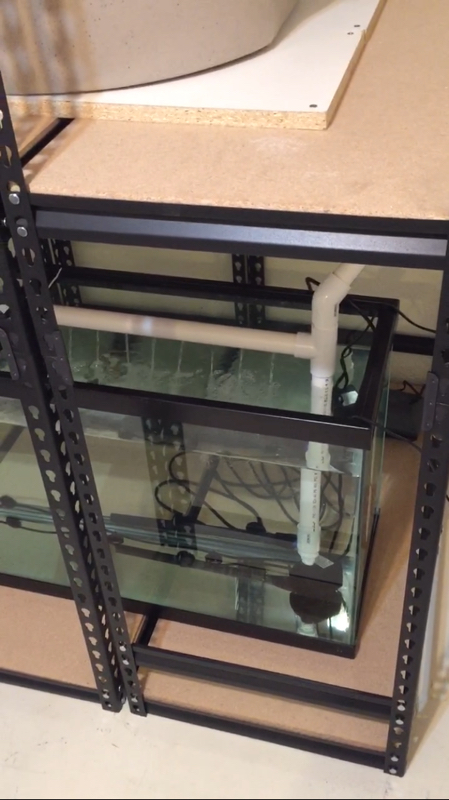 Spray Bar Action.jpg