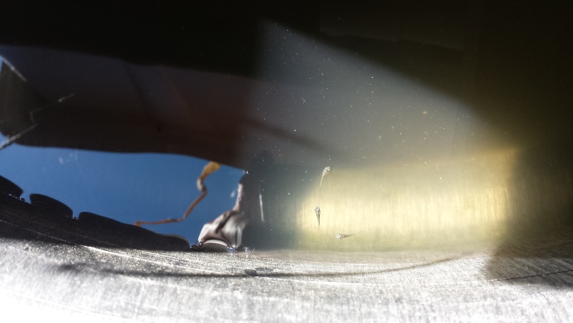 20170621_161126 2.jpg