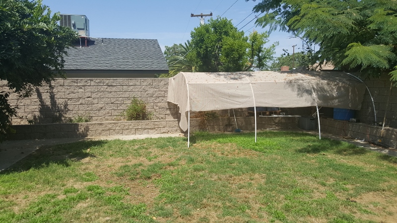 20170705_112743 (1) (800x450).jpg