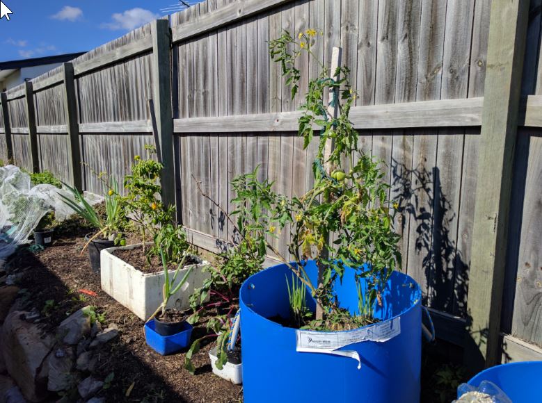 2017-07-17 11_07_36-Aquaponicskkkkk.jpg