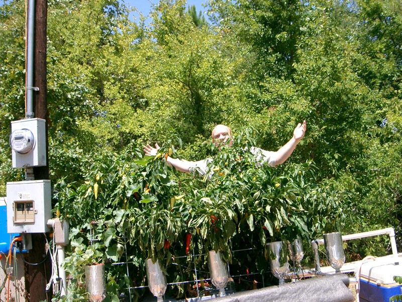 Bubbler (Medium).jpg