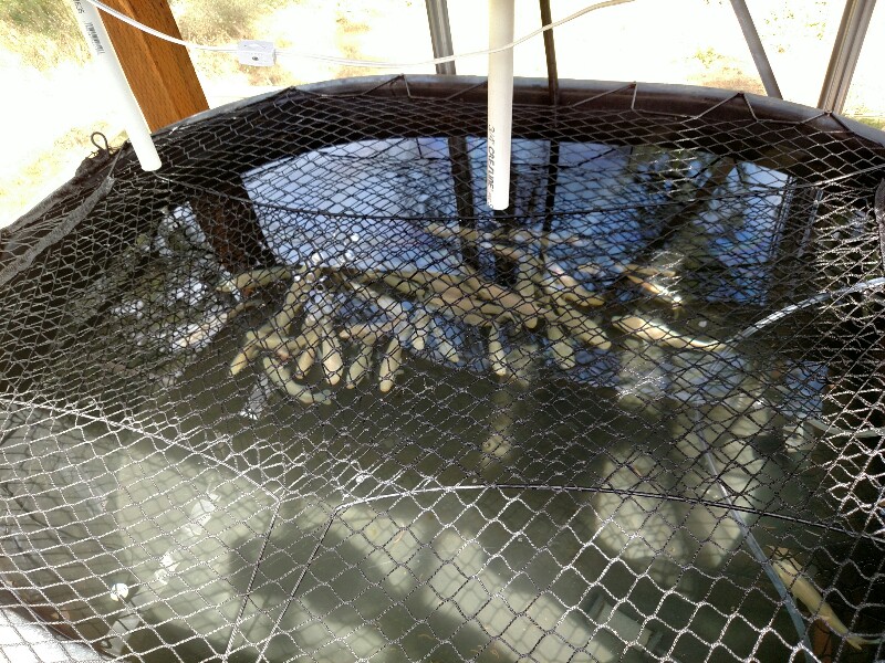 110GallonTank (1).jpg