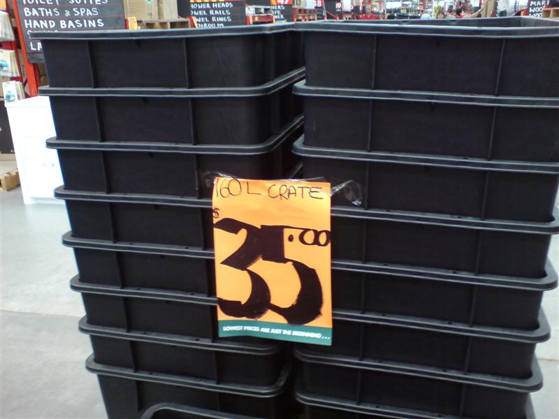 DSC00020 (Medium).JPG