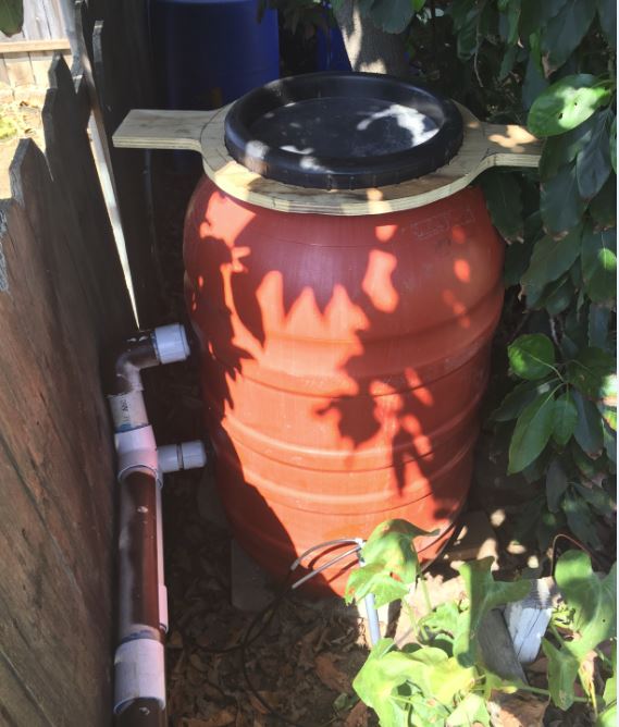 2017-09-01 new RFF.JPG