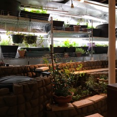 AQ System Dec 2016 Resized.jpg