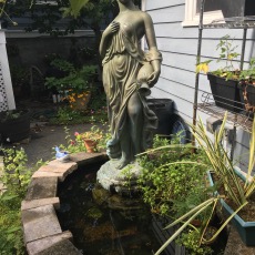 AQ Breeding pond sep 2017.jpg