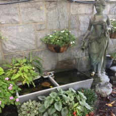 AQ Fry tank Sep 2017.jpg