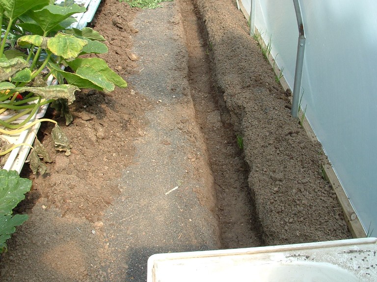 aquaponics 27-1-2008 009.jpg