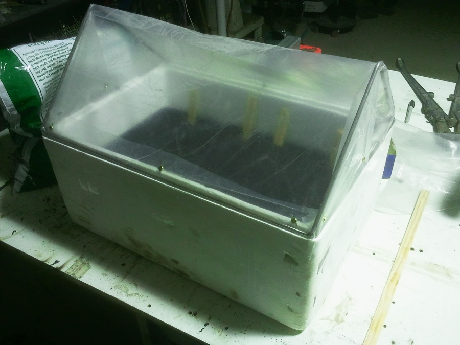 2016-09-06 18.41.54.jpg