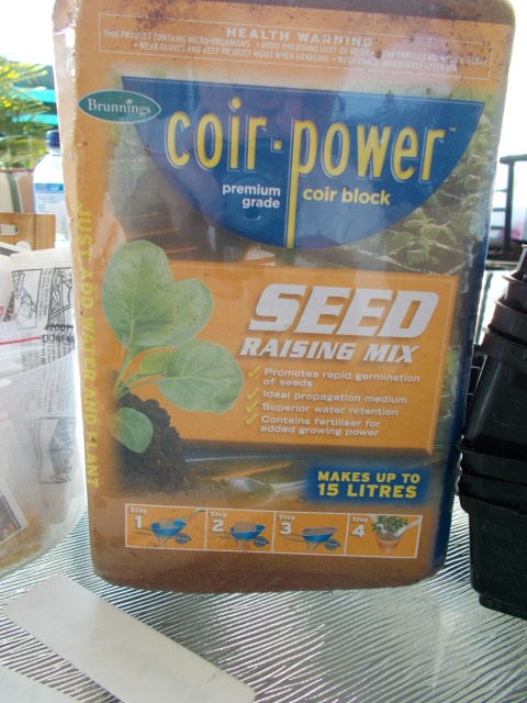 DSCN0568 (Small).JPG