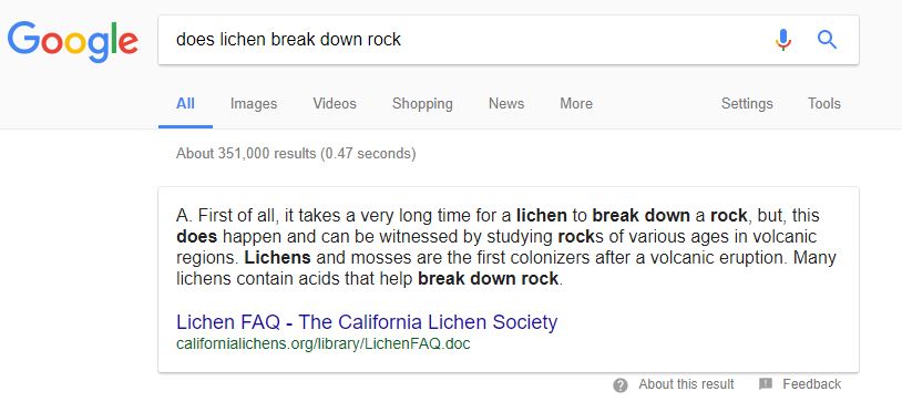 lichen.JPG