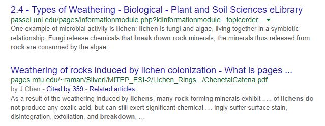 lichen2.JPG