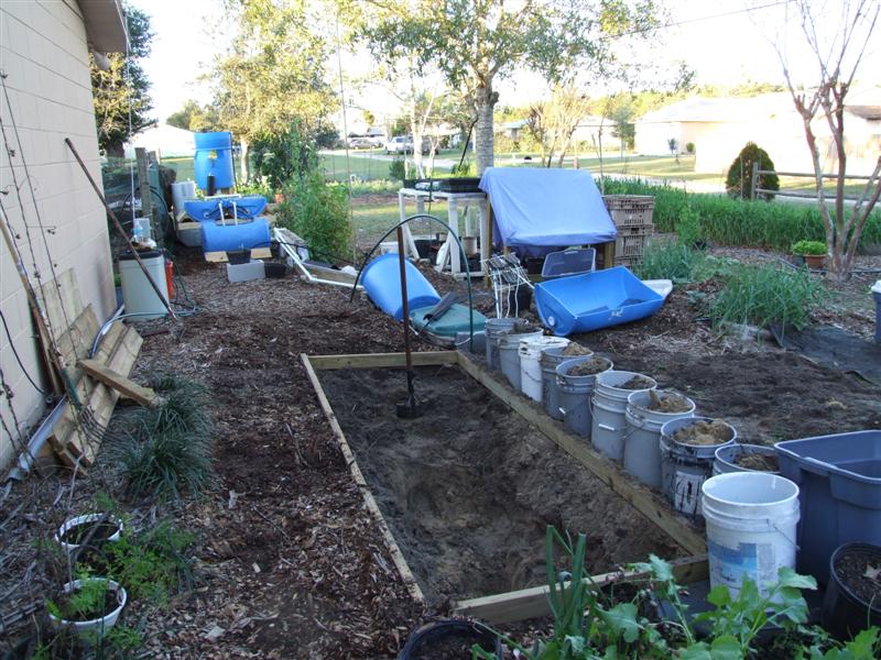 altered pond site (Medium).JPG