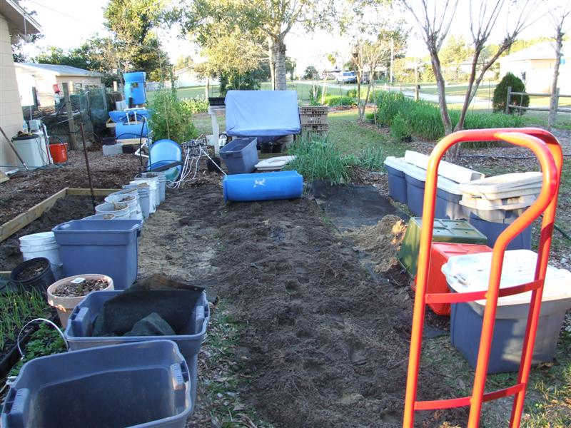 pland barrel line (Medium).JPG