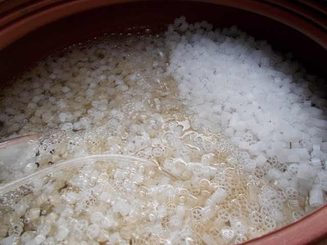 DSCN1471 (Small).JPG