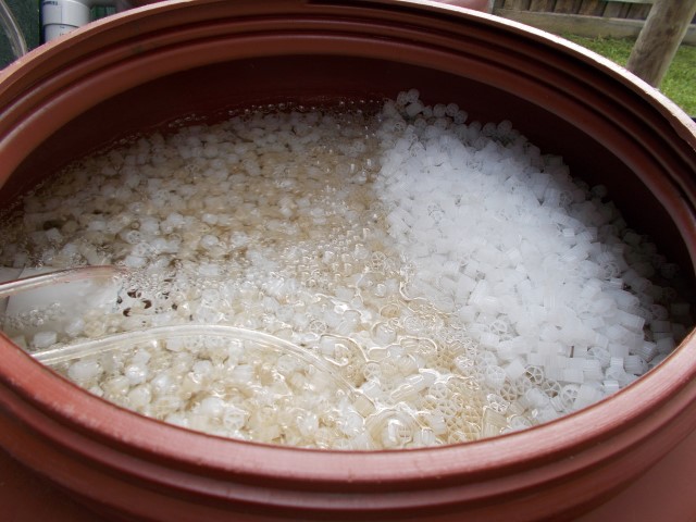 DSCN1472 (Small).JPG