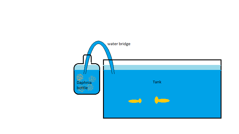 Water bridge autofeeder.png