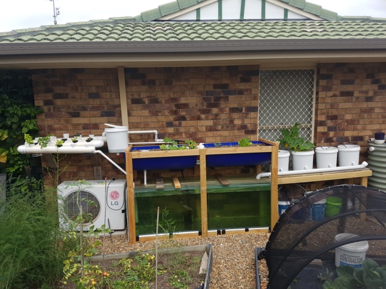 compressed 2  20171007_112303.jpg