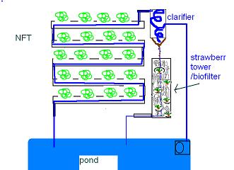 nft-clarifier.JPG