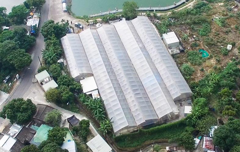 AP - Evergreens Republic site.jpg