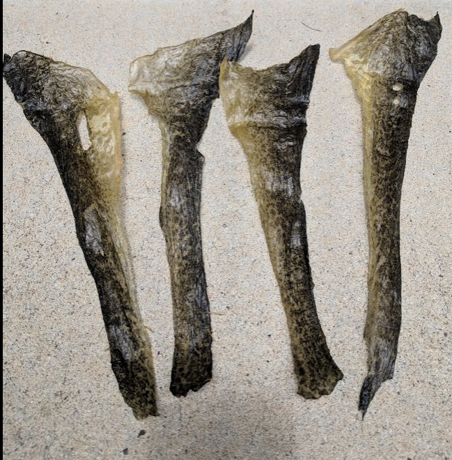 Murray cod leather.PNG