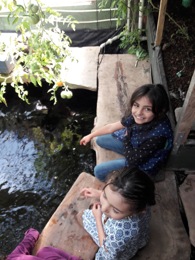 Chris-Trujillo-and-family-enjoying-Rodgers-Aquaponics-on-boardwalk.jpg