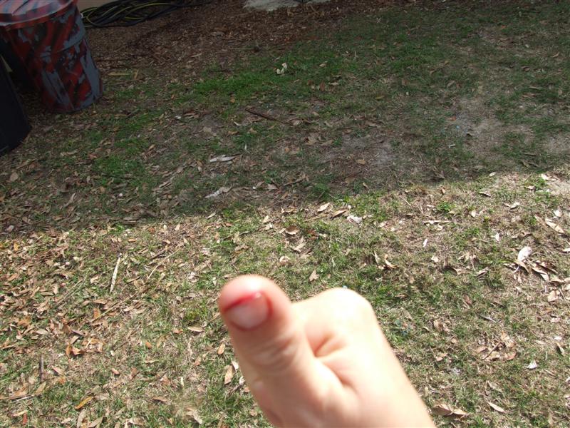 jamed thumb (Medium).JPG