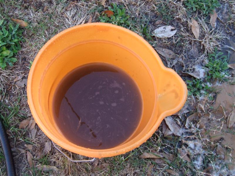 cloudy water in bucket (Medium).JPG