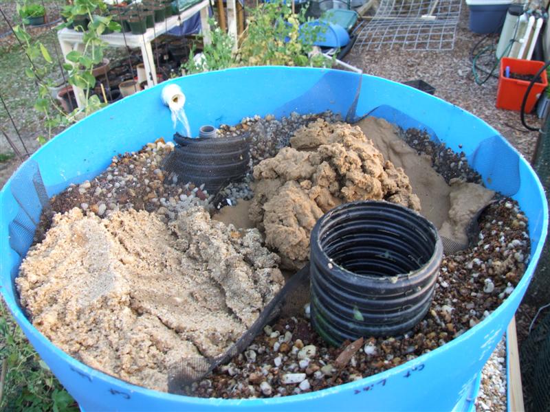 sand on top (Medium).JPG