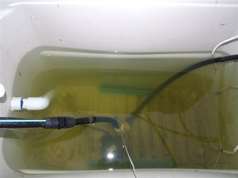 in ground tank after sand (Medium).JPG