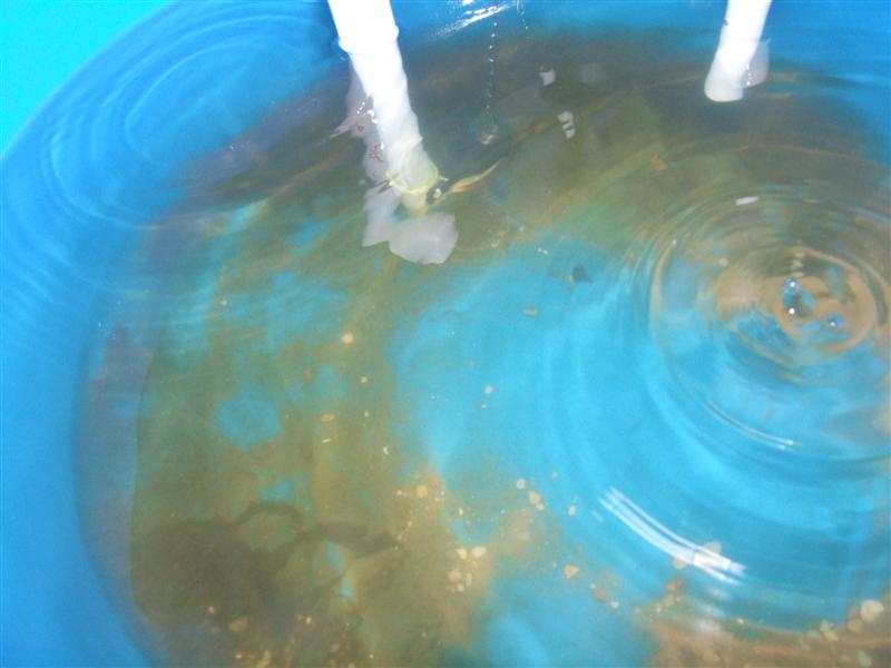 flush tank after sand (Medium).JPG