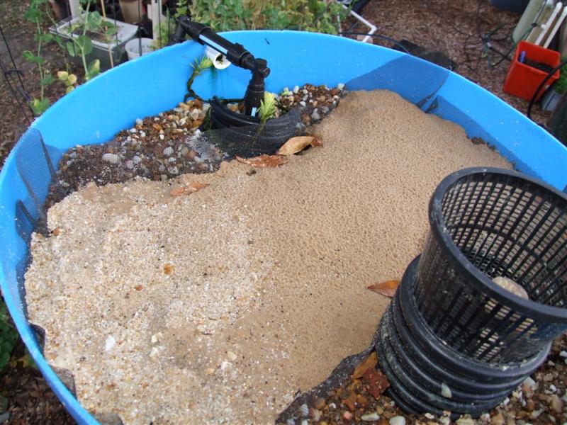 sand after rain (Medium).JPG