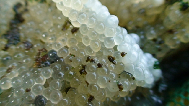 DSC01123 (640x360).jpg