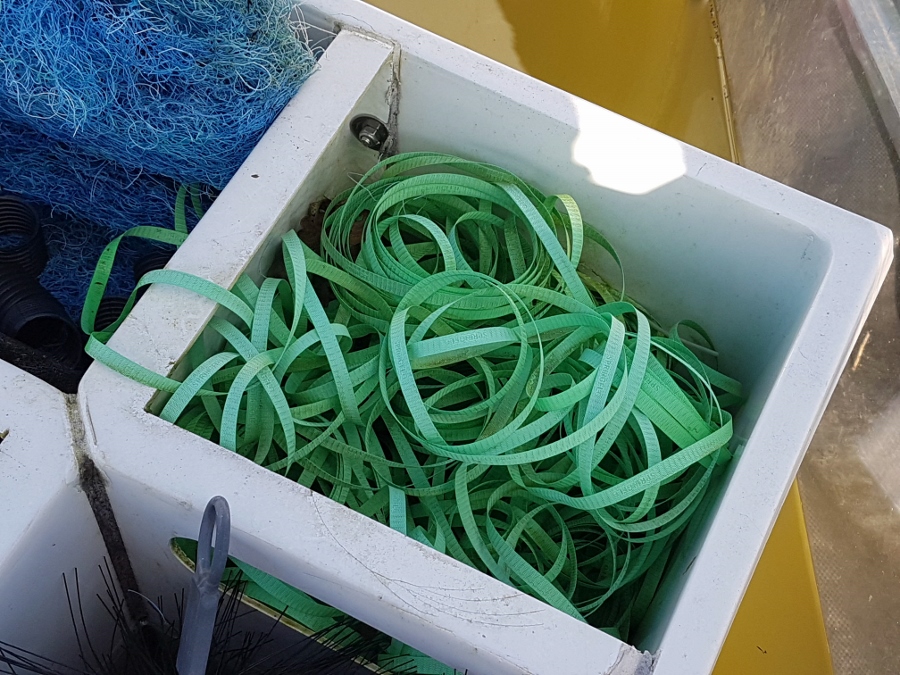 20180119_130715 (900x675).jpg