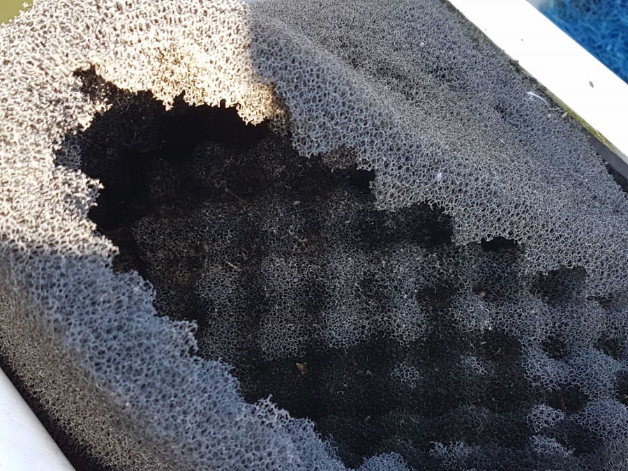 20180119_130724 (900x675).jpg