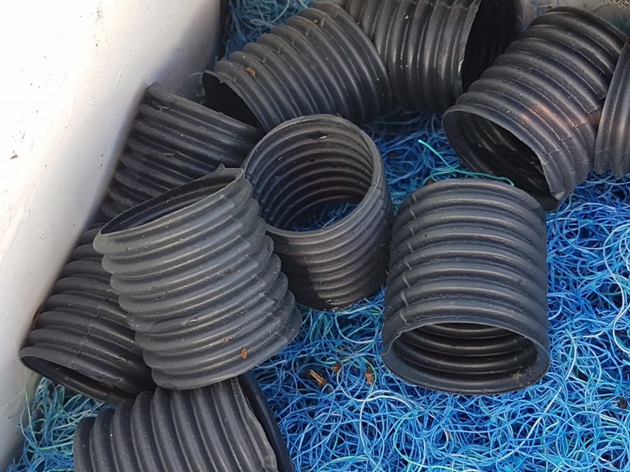 20180119_130950 (900x675).jpg