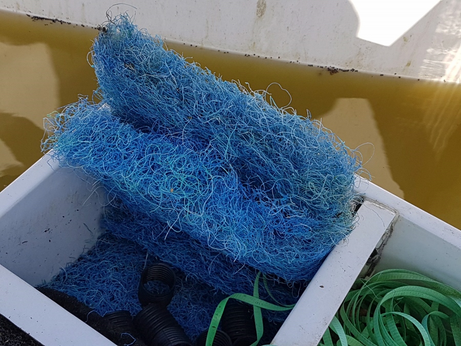 20180119_130718 (900x675).jpg