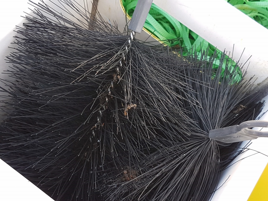 20180119_130721 (900x675).jpg