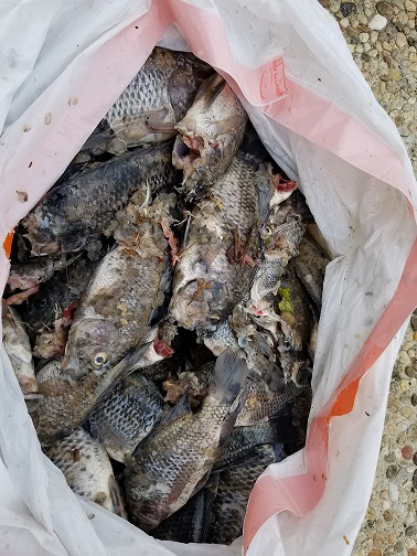 20180119_080952 bya.jpg