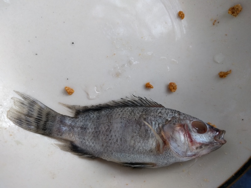 IMG_20180126_091043 small.jpg