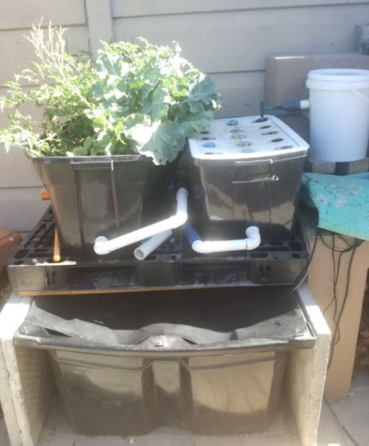 revised system feb 2018.JPG