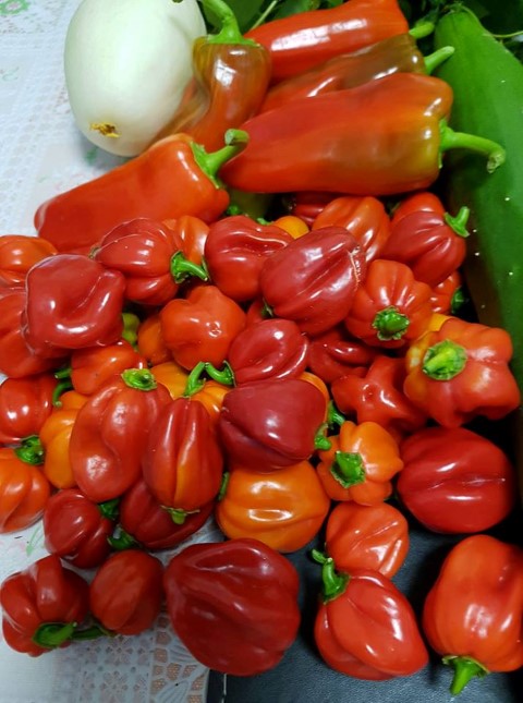 27540283_1523520537717239_4685438841716428951_n (Small).jpg