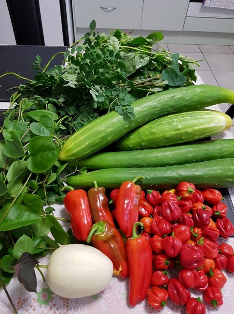 27544631_1523521027717190_6260405217247853155_n (Small).jpg