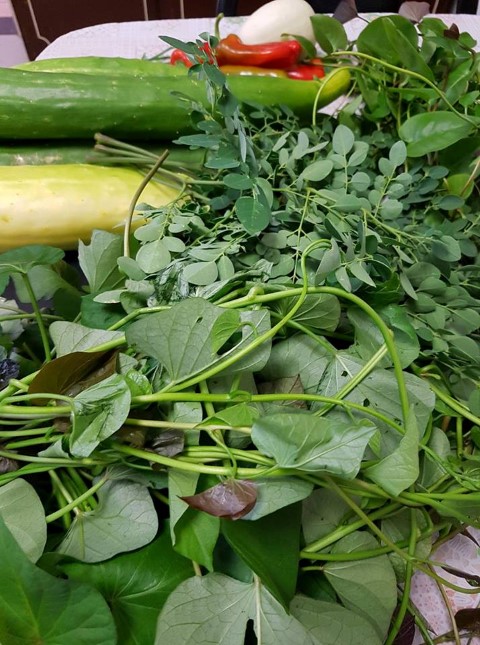 27458957_1523507967718496_775559292321298563_n (Small).jpg