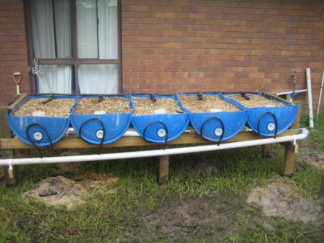 grow bed rebuild 007 (Small).jpg