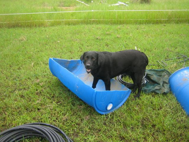 grow bed rebuild 009 (Small).jpg